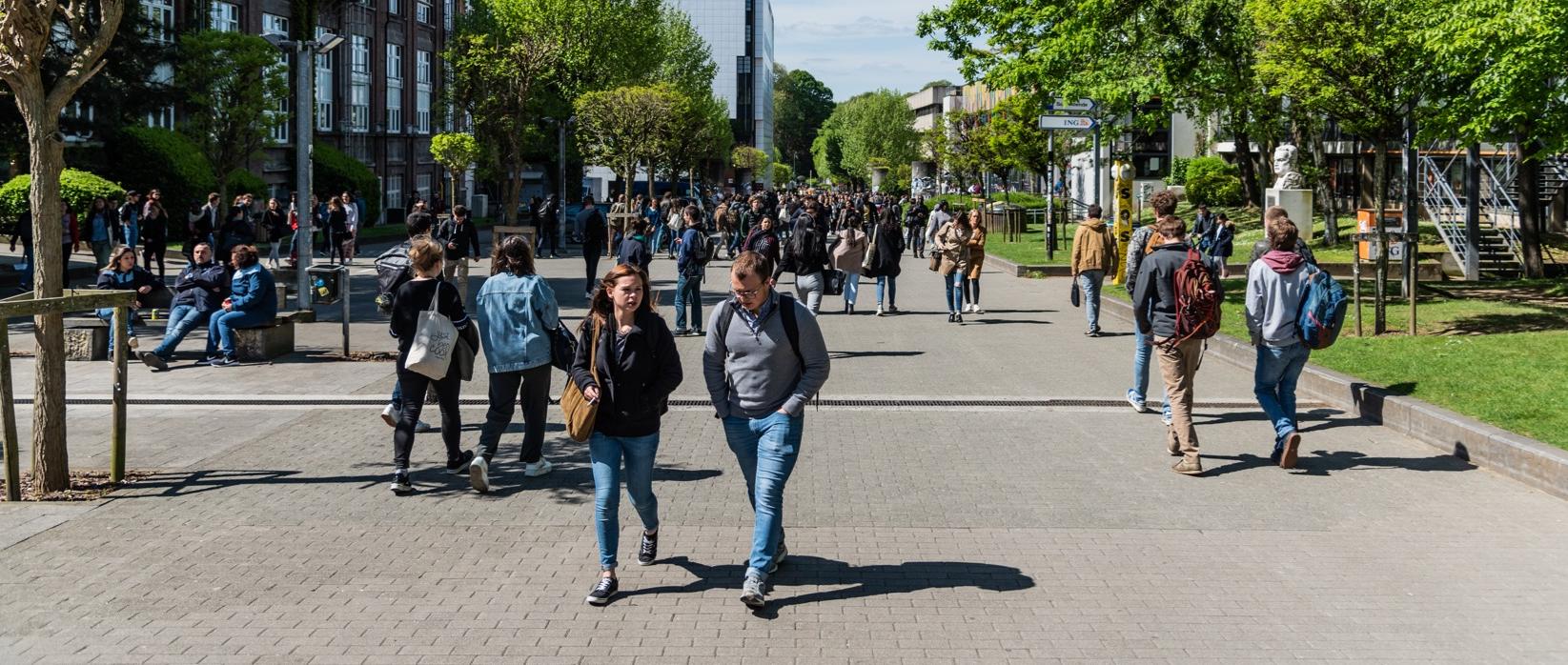 Avenue Héger - campus du Solbosch